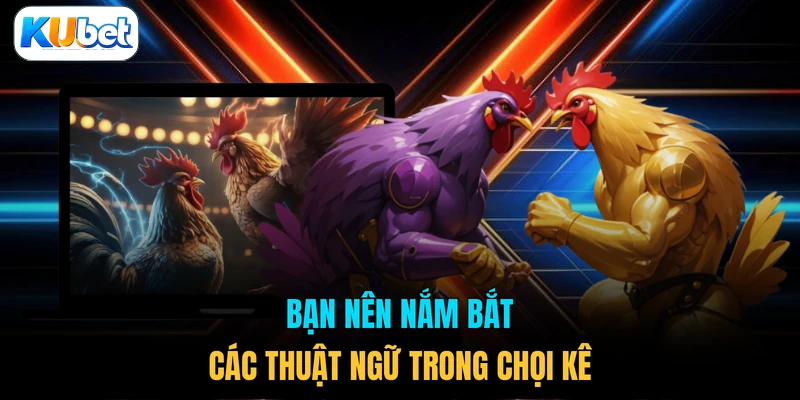 Bạn nên nắm bắt các thuật ngữ trong chọi kê