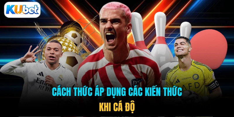 Cách thức áp dụng các kiến thức khi cá độ
