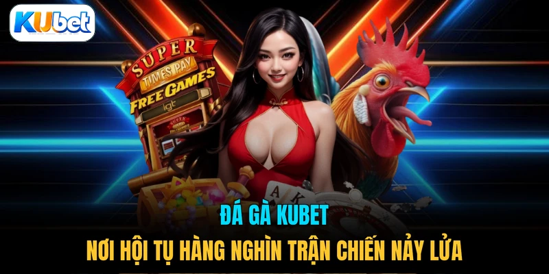 Đá gà KUBET nơi hội tụ hàng nghìn trận chiến nảy lửa