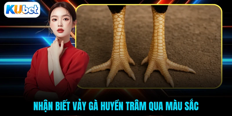 Nhận biết vảy gà Huyền Trâm qua màu sắc