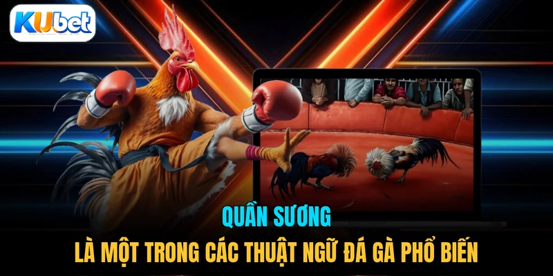 Quần sương là một trong các thuật ngữ đá gà phổ biến