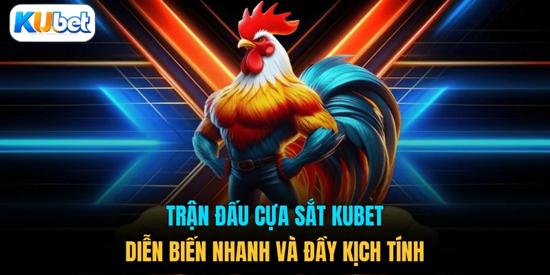 Trận đấu cựa sắt KUBET diễn biến nhanh và đầy kịch tính 