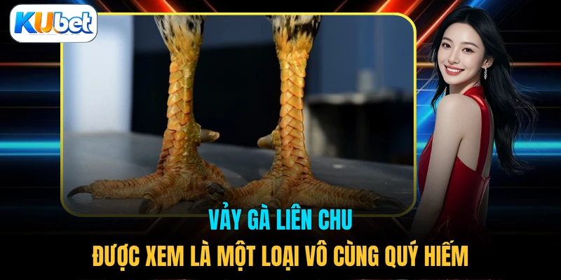 Vảy gà Liên Chu được xem là một loại vô cùng quý hiếm